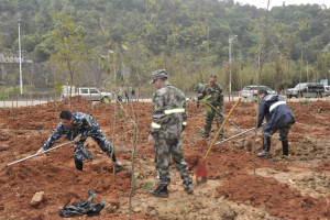 陽春三月雨，正是植樹好時節