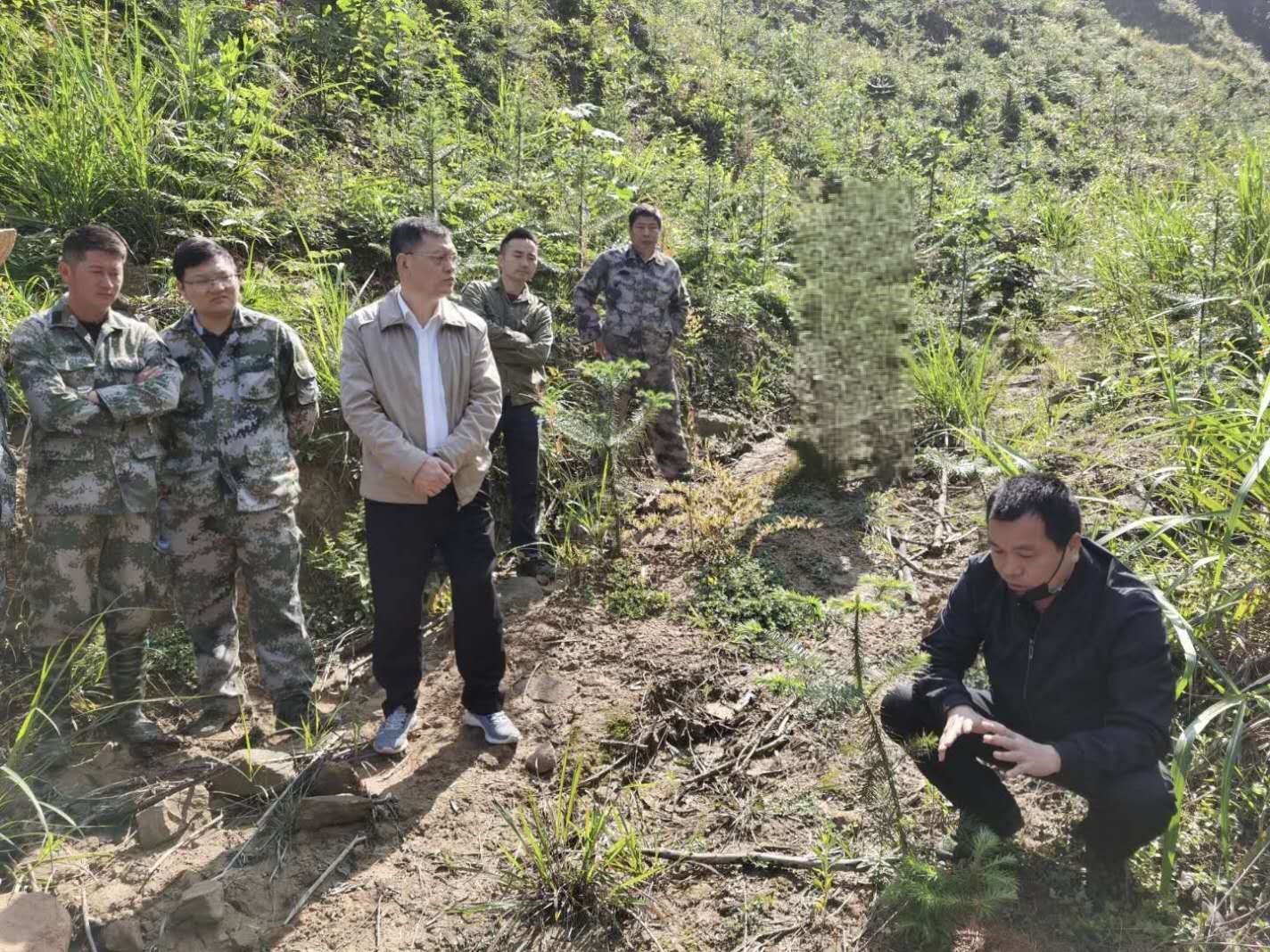 福建金森召開幼林撫育現場會 福建金森召開幼林撫育現場會