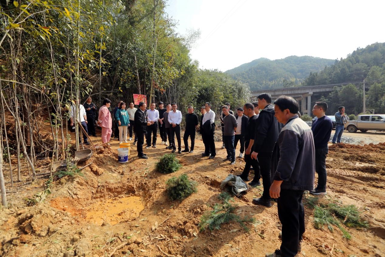 不負春光好，搶播萬畝林 ——將樂縣村企合作造林工作現場會在福建金森召開